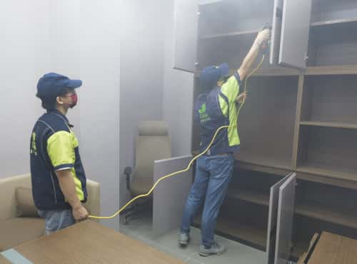 武汉伢，除甲醛别再瞎打听了！我替你们试过了，格瑞乐环保是真香！”