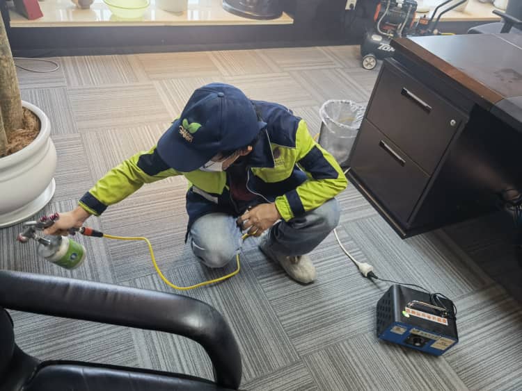 汉阳除醛咋选？甲级资质是硬标准！