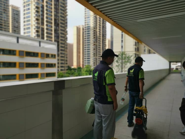 武汉除甲醛报价差10倍?真相揭秘!