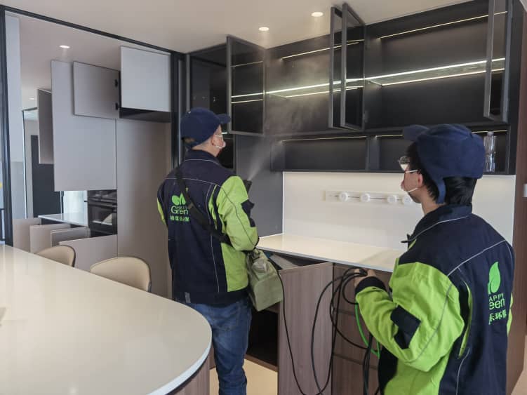 武汉专业除甲醛公司